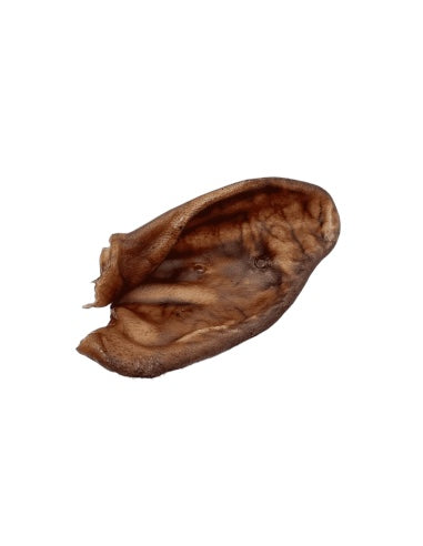 Oreja de Cerdo Deshidratada