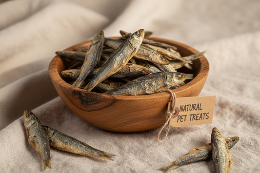 Los mejores snacks naturales para el adiestramiento de tu perro