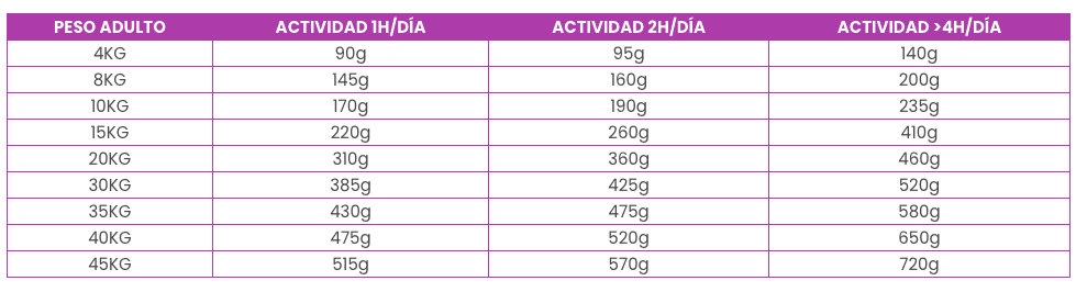Natural Insect Protein