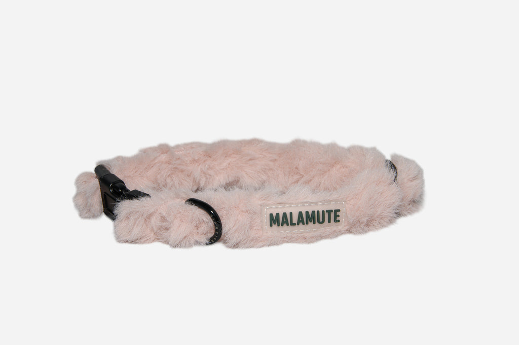 Collar Eira