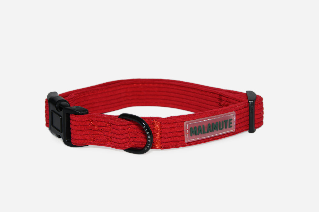 Collar Ember