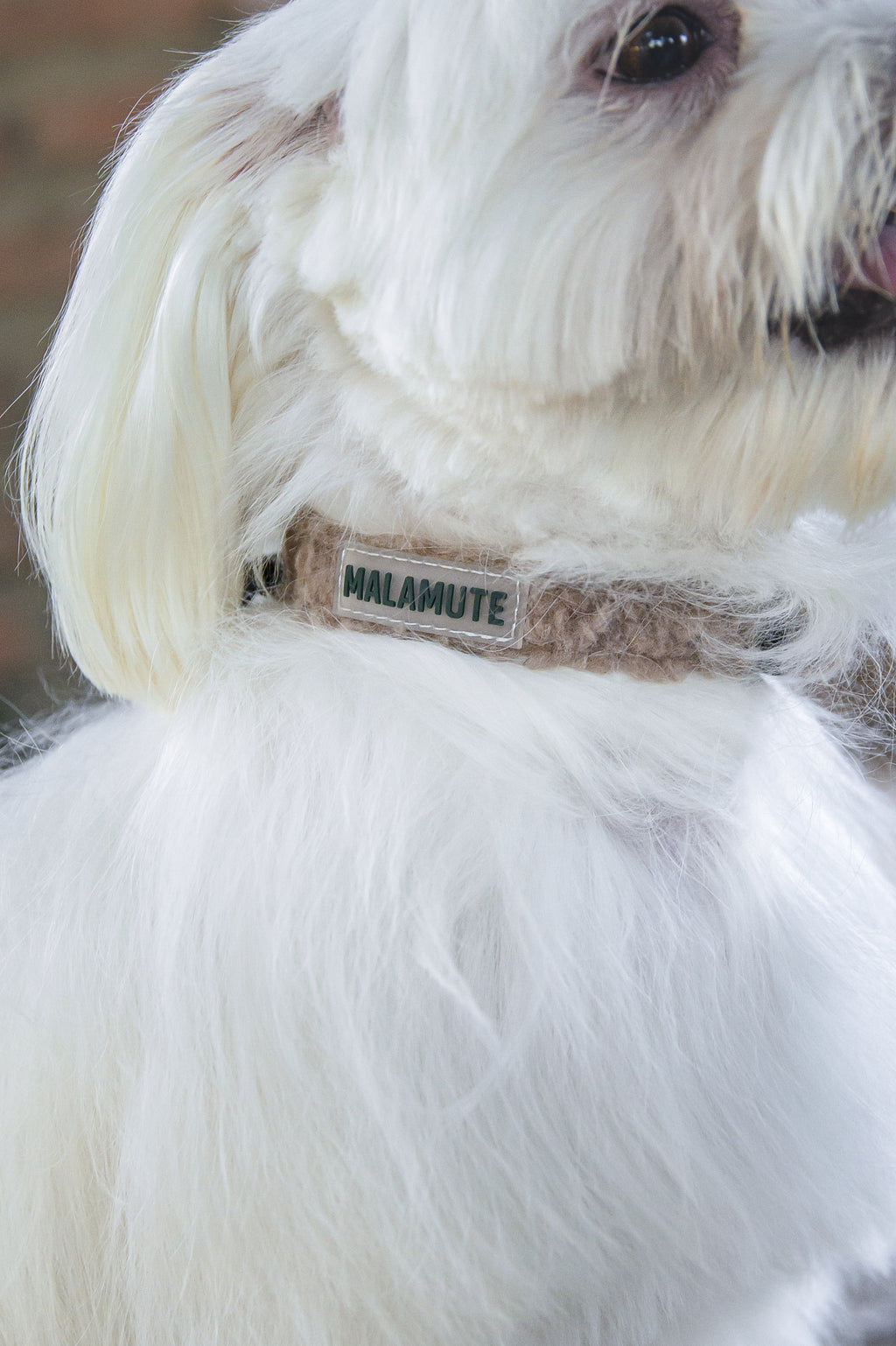 Collar Elva