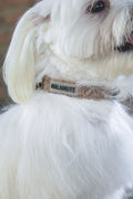 Collar Elva