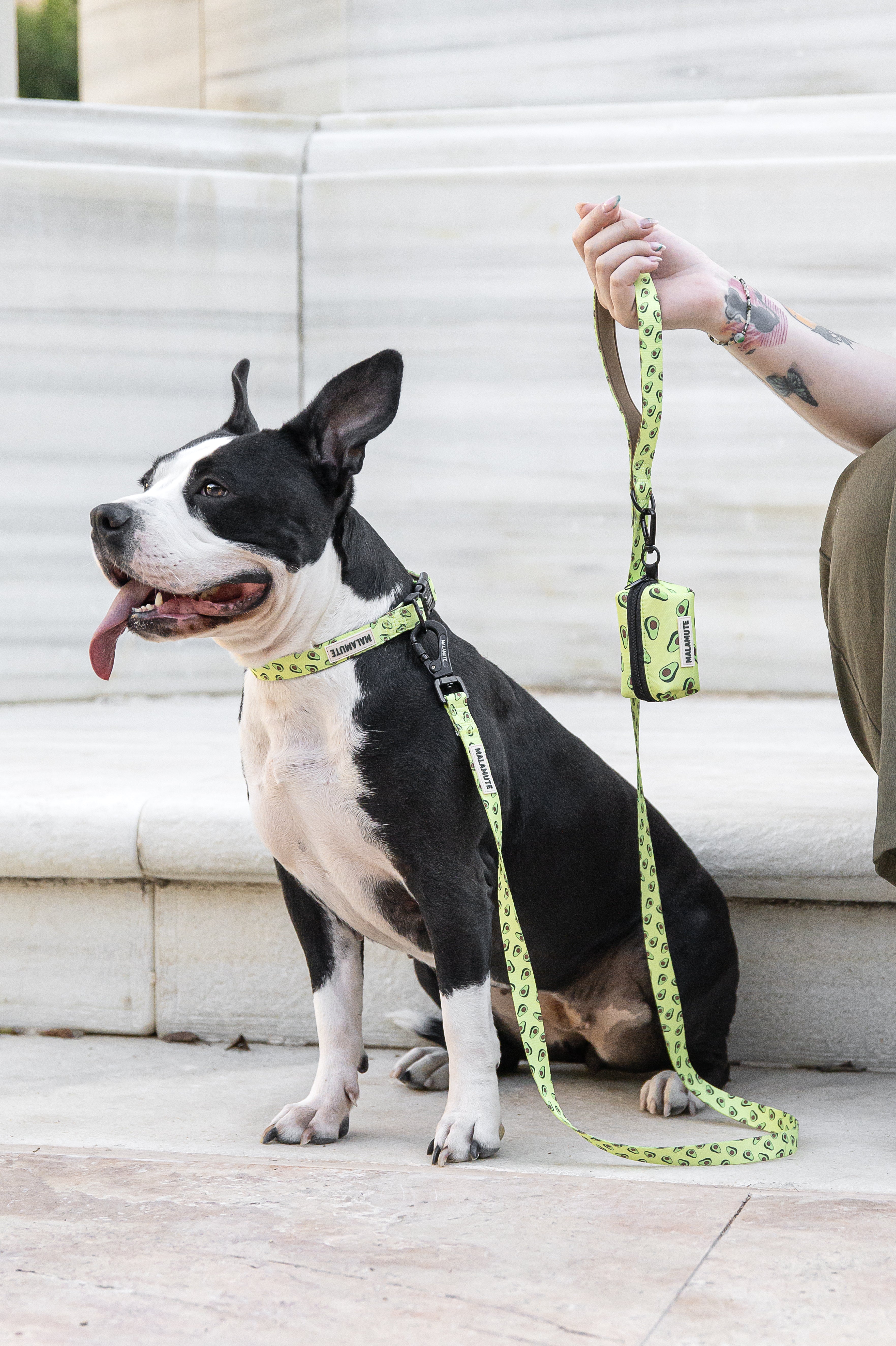 Collar Liora
