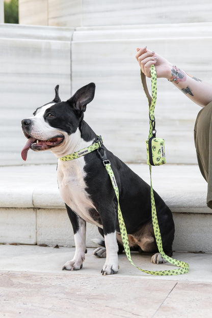 Collar Liora