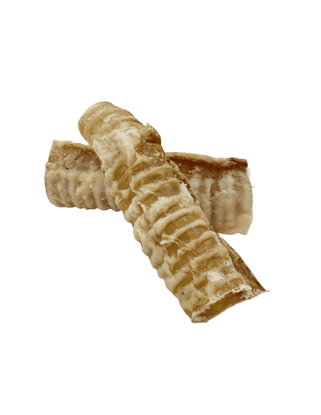 Tráquea Ternera Deshidratada