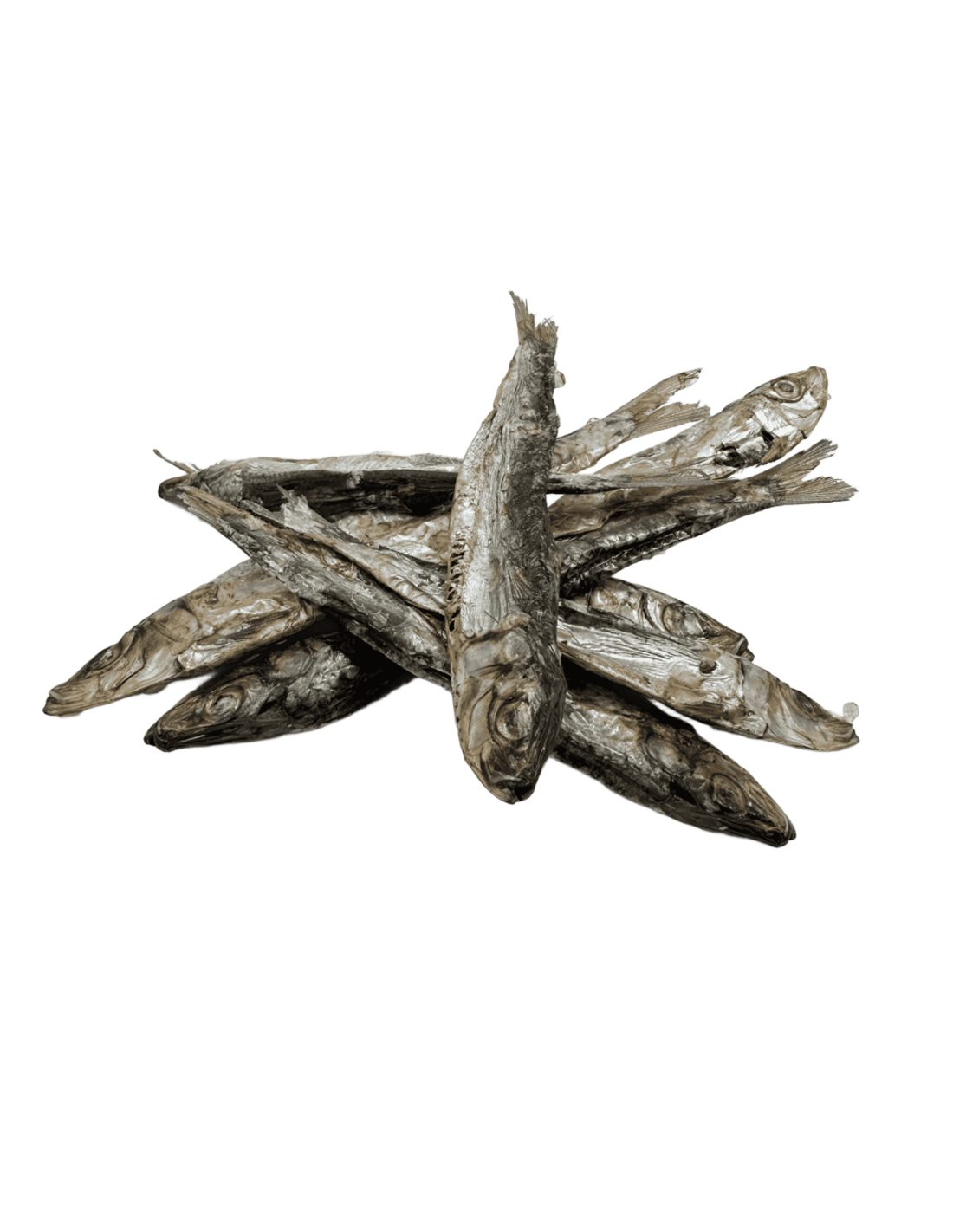 Sardinas Deshidratadas