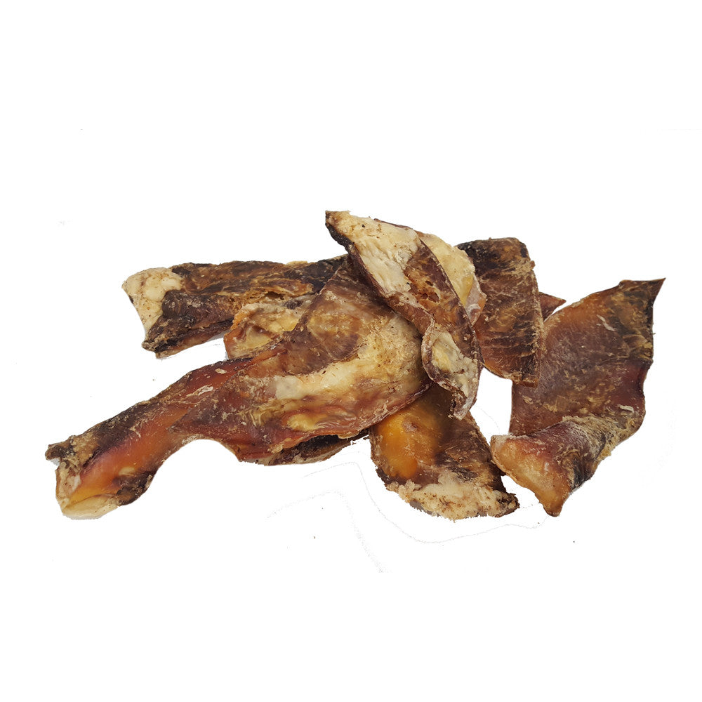 Escápula de Vacuno