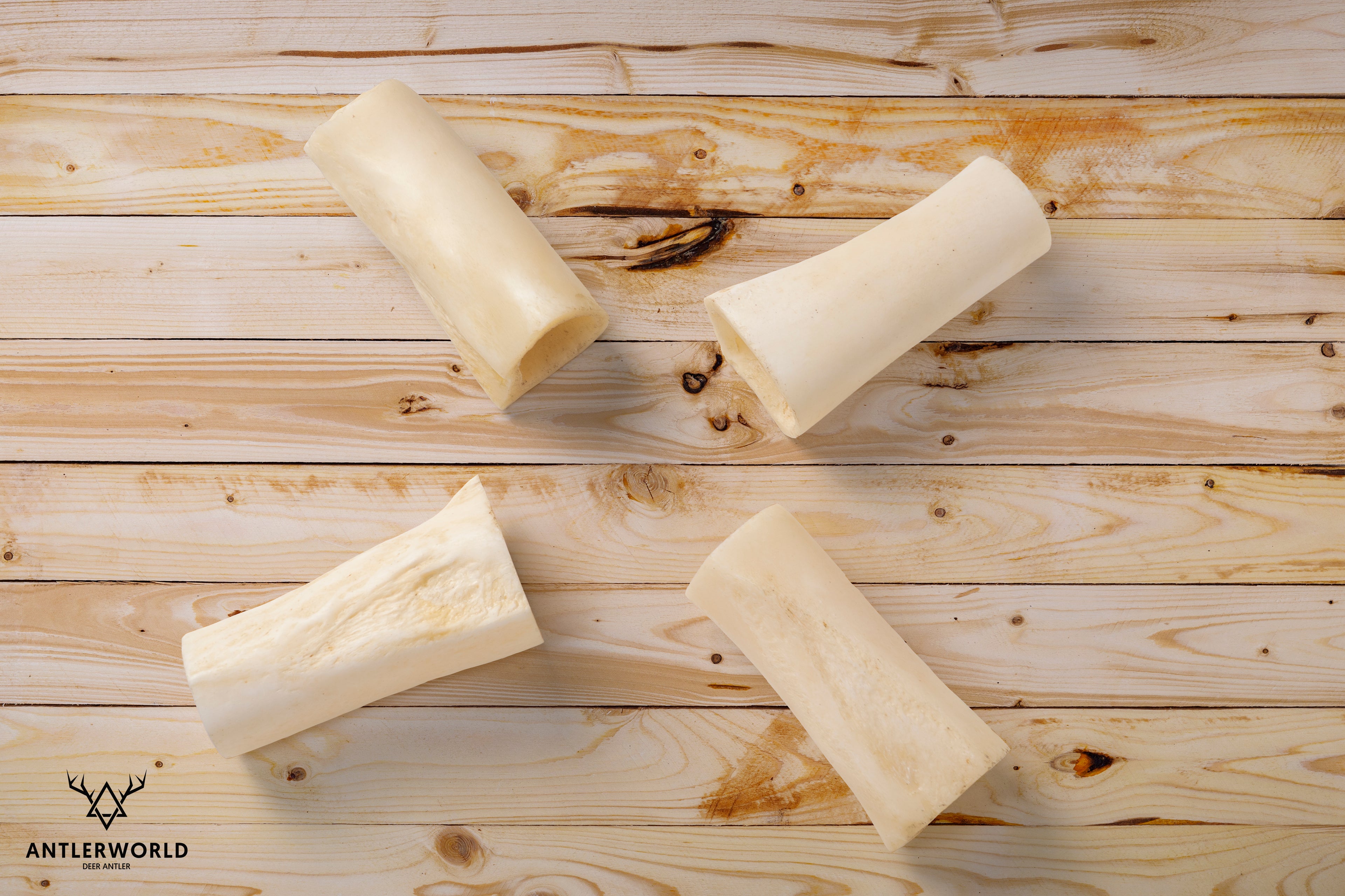 Buffalo Bone