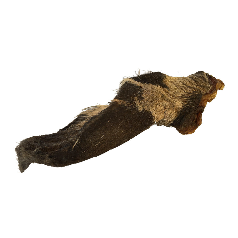 Oreja de Vacuno