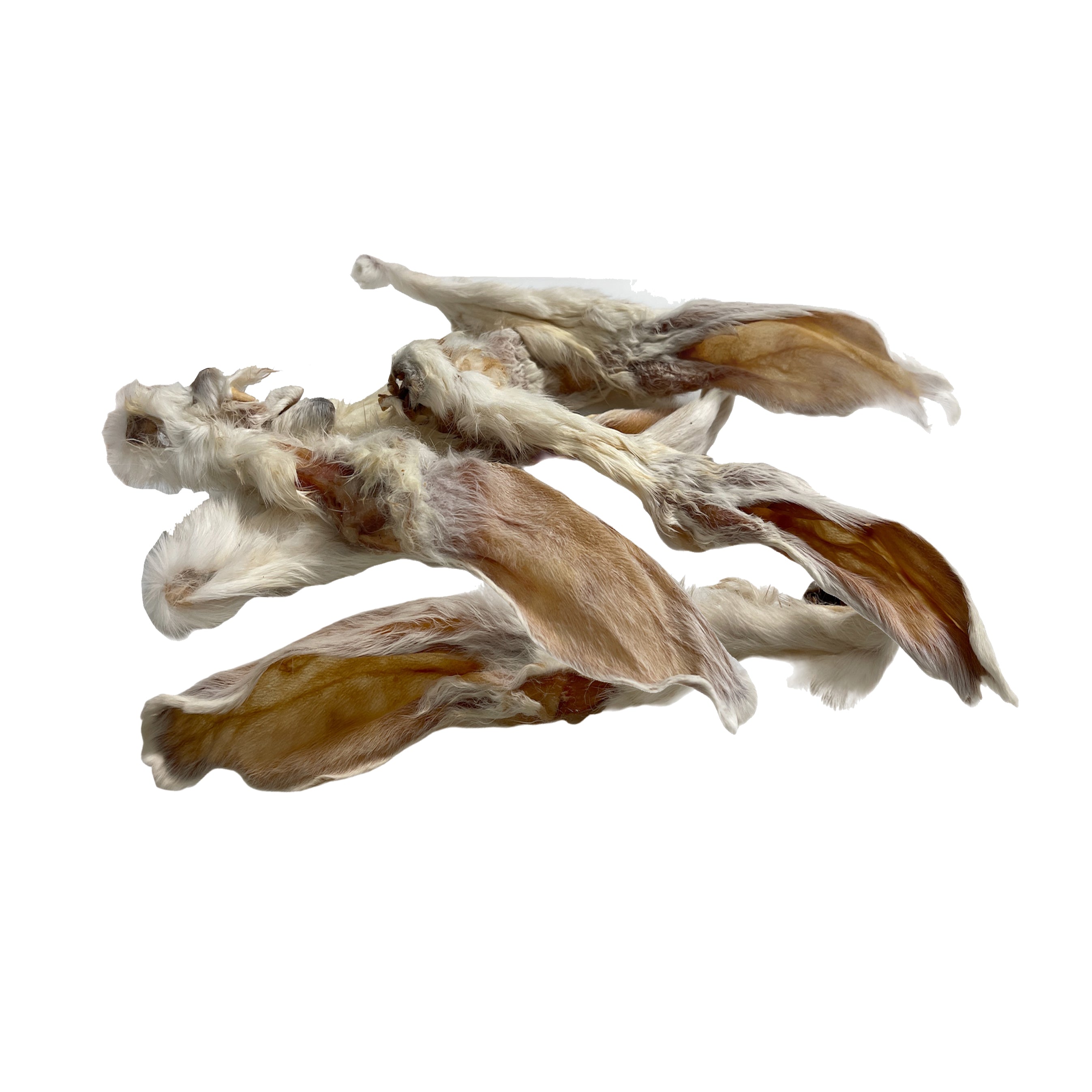 Orejas de Conejo